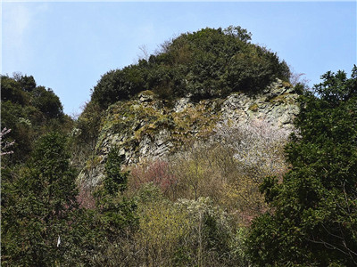 龙珠岩2