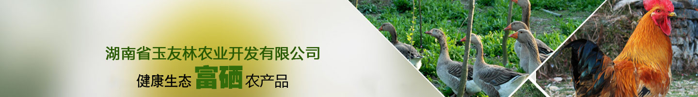 湖南省利来国际手机网站农业开发有限公司|娄底富硒米|娄底生鲜蔬菜|娄底土鸡土鸭土猪肉